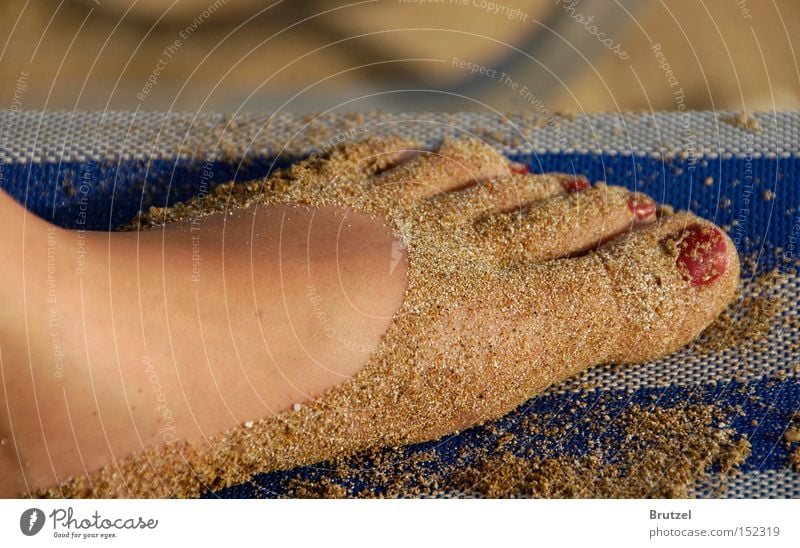Ein Hauch von Schuh, oder doch nur paniert? Fuß Sand Nagellack Strand Mensch Meer Liege Zehen Beine Nachbar Ferien & Urlaub & Reisen Freude Bräune gestreift 10