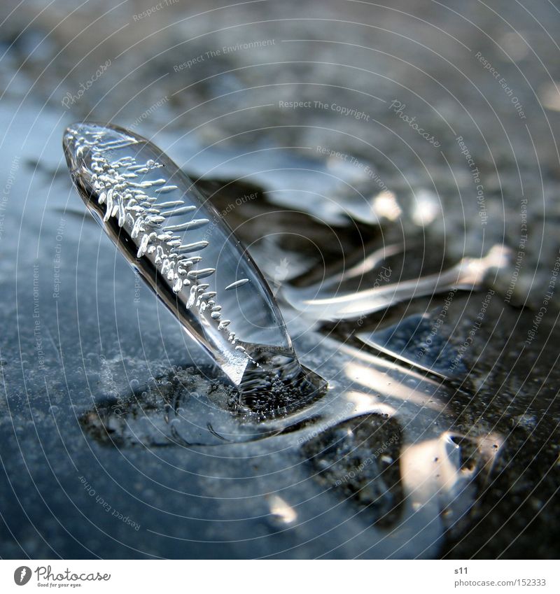 Standing Icicle Winter Kunstwerk Mauer Wasser Spiegel Natur Schnellzug Licht Eiszapfen stehen Vergänglichkeit kalt Makroaufnahme Nahaufnahme schön gefrohren