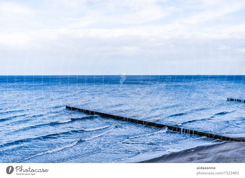 Ostsee Landschaft Wasser Horizont Winter Wellen Strand achtsam ruhig Fernweh Einsamkeit Mecklenburg-Vorpommern Holzpfahl Farbfoto mehrfarbig Außenaufnahme