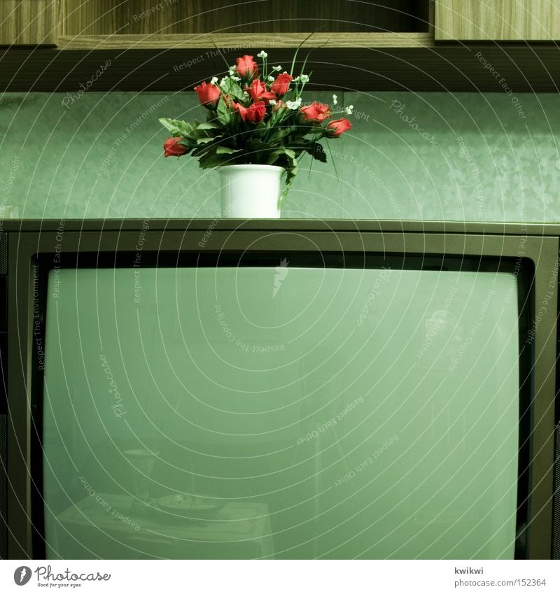 ... Fernseher Fernsehen alt altmodisch Blume Häusliches Leben Wohnzimmer Trauer Statue