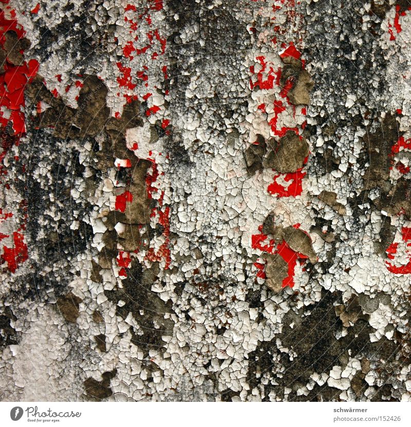 Deep Seeded Urban Decay Verfall Wand grau Kontrast rot Farbe Putz Schimmelpilze abstrakt untergehen weiß Beton Stein Zeit Wetter verfallen