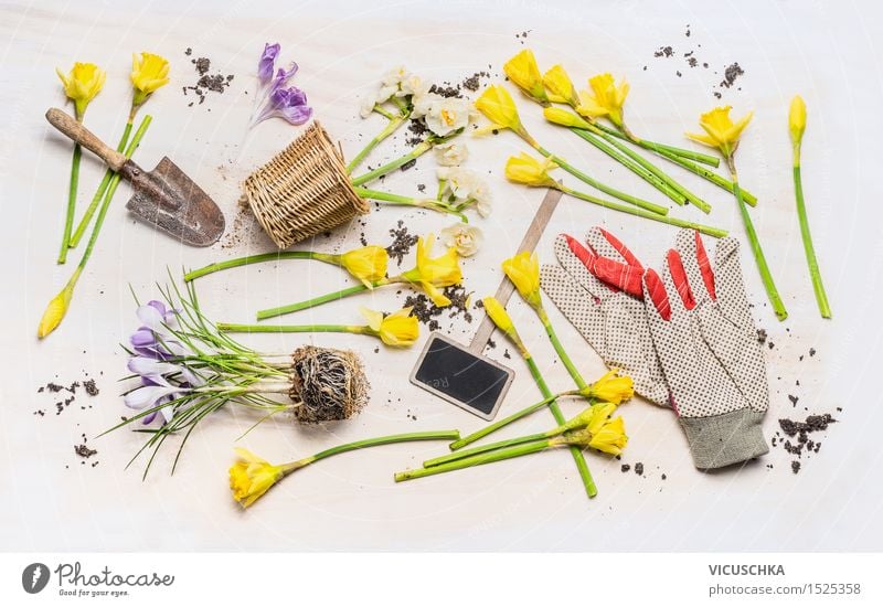 Frühlingsblumen und verschiedene Gartenwerkzeuge Stil Design Freizeit & Hobby Natur Pflanze Blume Blatt Blüte Container Dekoration & Verzierung Blumenstrauß