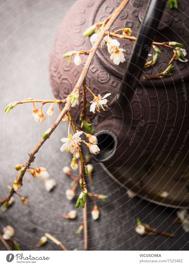 Eisen Teekanne mit frischen Blüten Getränk Heißgetränk Lifestyle Stil Natur Blatt Design Chinese Kirschblüten Zen Teehaus Teeladen Farbfoto Nahaufnahme