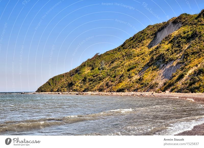 Küste - Hiddensee Leben Sinnesorgane Erholung ruhig Ferien & Urlaub & Reisen Tourismus Sommerurlaub Strand Umwelt Natur Sand Wolkenloser Himmel Schönes Wetter