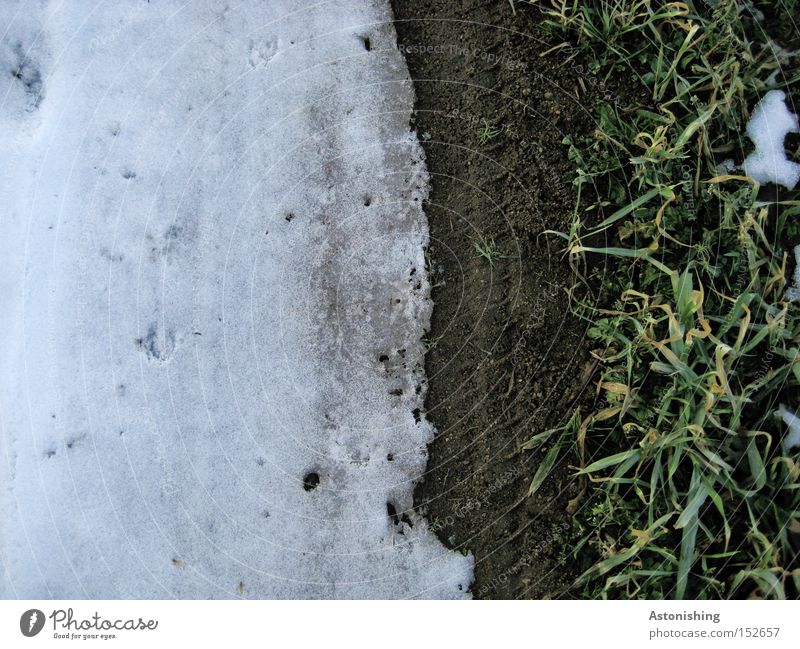 Schneefallgrenze Winter Eis Frost Gras Wiese dunkel hell weiß Grenze Bodenbelag Kontrast Textfreiraum links Menschenleer Vogelperspektive dreckig Erde Halm