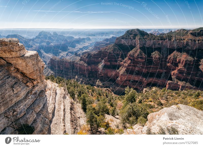 Grand Canyon Wellness Leben Wohlgefühl Ferien & Urlaub & Reisen Abenteuer Sommer Berge u. Gebirge Umwelt Natur Landschaft Urelemente Erde Himmel Herbst Klima