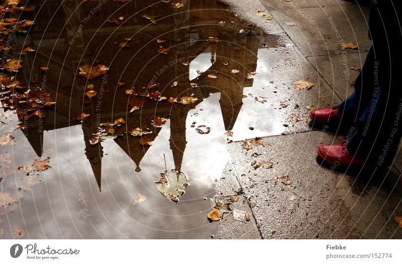 Im Spiegel der Vergangenheit London England Pfütze Wasser Reflexion & Spiegelung Schuhe Fuß Beine rot Bodenbelag Blatt Herbst Westminster Abbey
