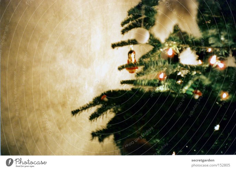 weihnachten mit einer geisha Lomografie Weihnachten & Advent Schmuck Geisha Wand Raum grün Nadelbaum Kugel besinnlich Lichterkette Unschärfe Wohnzimmer Tanne