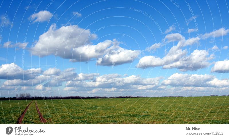 wolkenspur Himmel Wolken blau Wetter Feld Spuren Landschaft Horizont grün Natur sky Deutschland Sommer Umwelt Landwirtschaft landwirtschaftlich ländlich