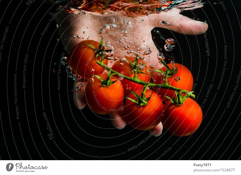 Tomaten Gemüse Bioprodukte Vegetarische Ernährung Diät Trinkwasser Gesunde Ernährung Hand Finger frisch Gesundheit lecker nass natürlich grün rot genießen