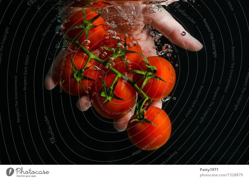 Tomaten Lebensmittel Gemüse Bioprodukte Vegetarische Ernährung Diät Trinkwasser Gesunde Ernährung Hand Finger frisch Gesundheit lecker nass natürlich grün rot