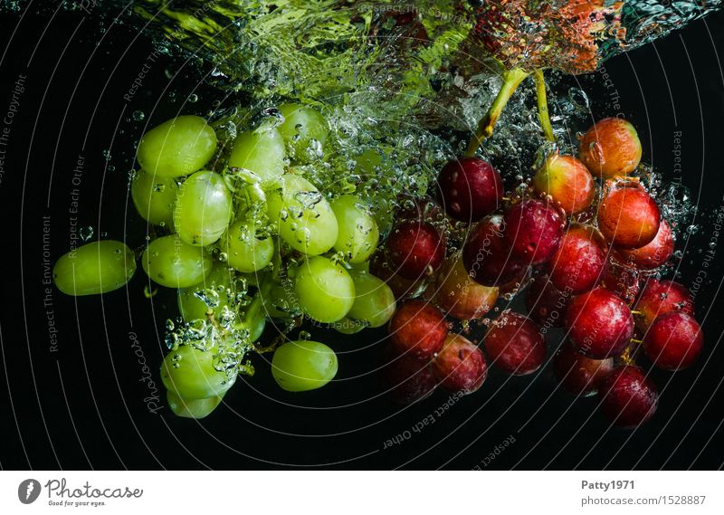 Trauben Lebensmittel Frucht Weintrauben Bioprodukte Vegetarische Ernährung Diät Trinkwasser Gesunde Ernährung frisch Gesundheit lecker nass natürlich grün rot
