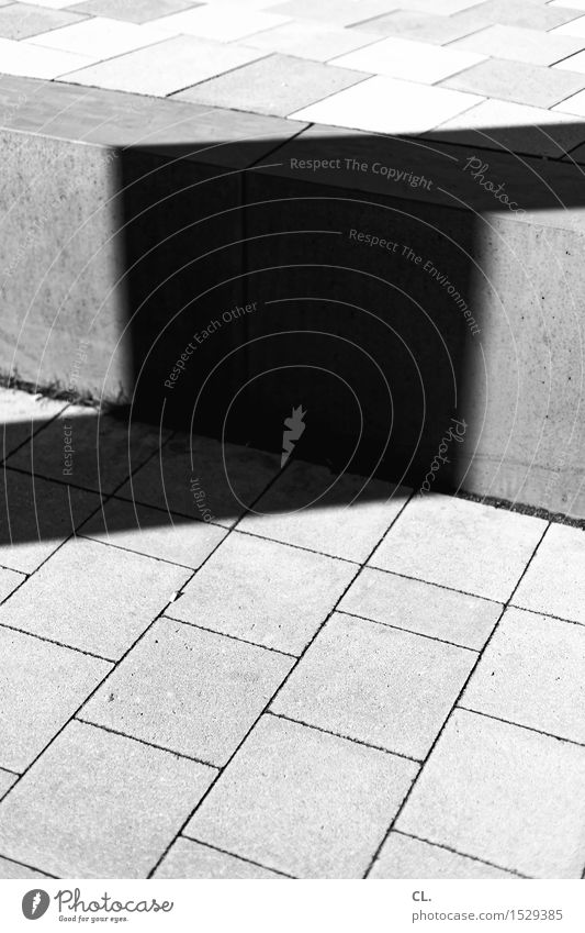 stufe 1 Architektur Treppe Wege & Pfade Boden eckig Wachstum Schwarzweißfoto Außenaufnahme abstrakt Menschenleer Textfreiraum unten Tag Licht Schatten Kontrast