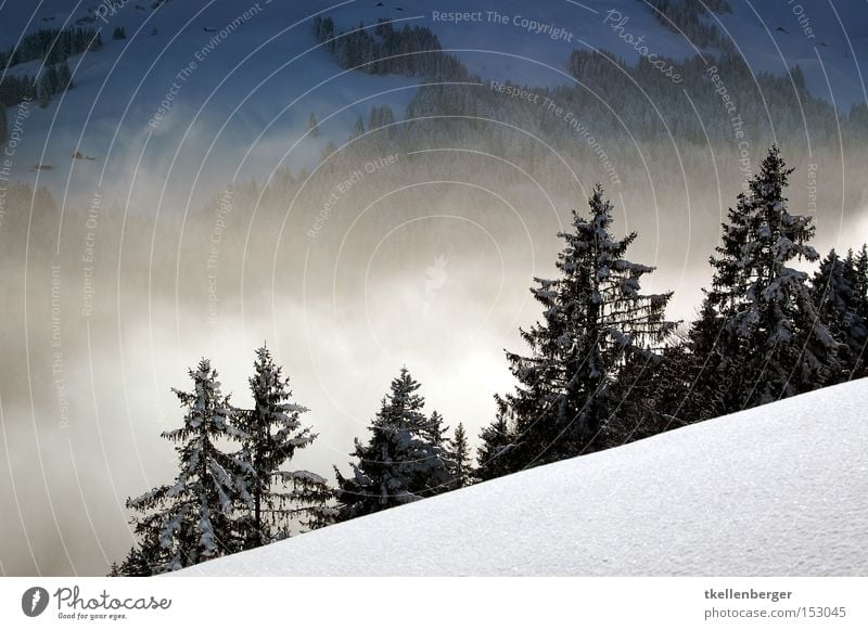 Mountain Dreamworld IV. Nebel Wald Schnee Berge u. Gebirge Wolken Ferne Angst schön ruhig Tanne Winter Alpen Traumwelt bedrohlich Schneeschuhlaufen