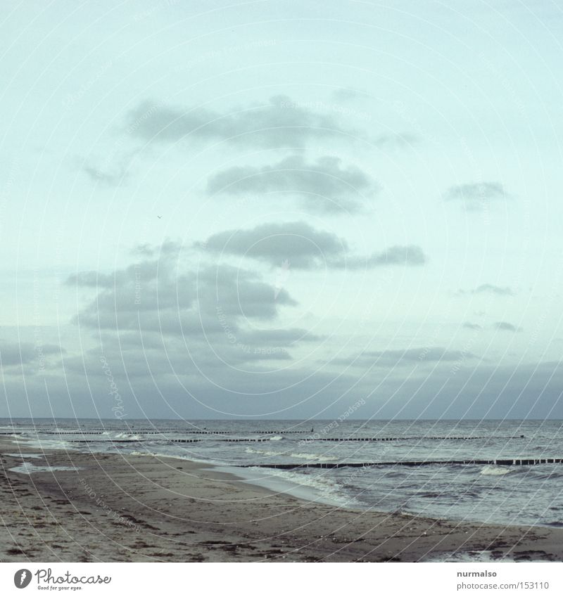 Ostseefrisch . . . Meer Strand Buhne Küste Wellen Wasser Horizont Spaziergang Wolken frei Sauberkeit Wind Fischkopf Freude Freizeit & Hobby Baltic Sea