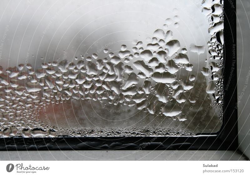 Fensterecke Wasser dreckig kalt Fensterscheibe gefroren Tau Blase Ecke Glas rechtwinklig Reflexion & Spiegelung Wassertropfen nass Menschenleer Fensterrahmen