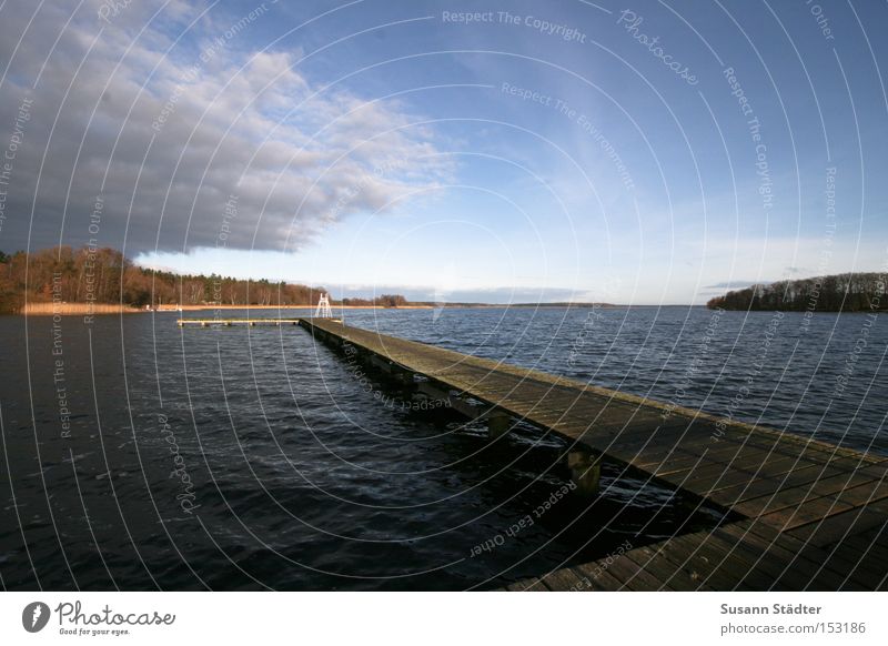 Mecklenburgische Weite Steg Wasser Meer Wasserfahrzeug Holz springen See Mecklenburg-Vorpommern Seenplatte Baum Himmel Winter Fisch