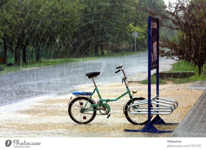 Regenrad nass Ständer Straße Pfütze Sommer Herbst Gewitter Klapprad Wege & Pfade Baum frisch eng Wasser Fahrrad Werbetafel