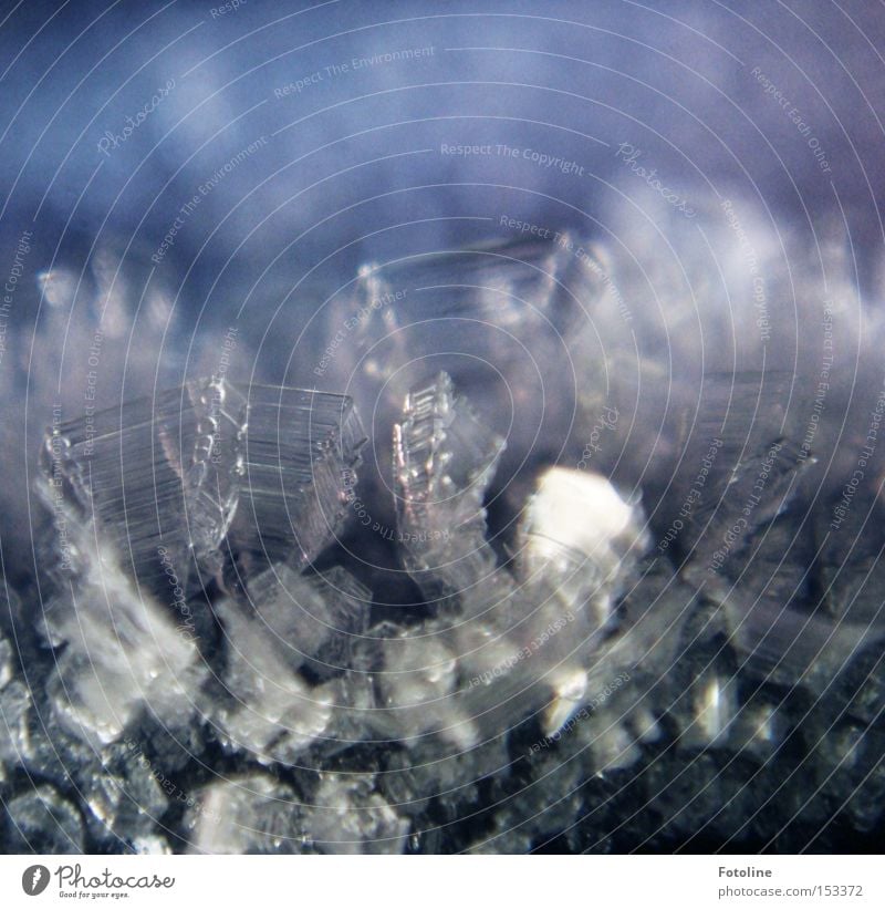 kristalline Lebensform II Frost kalt Eisblumen Fensterscheibe Autofenster Morgen blau schwarz Winter frieren Glas schön