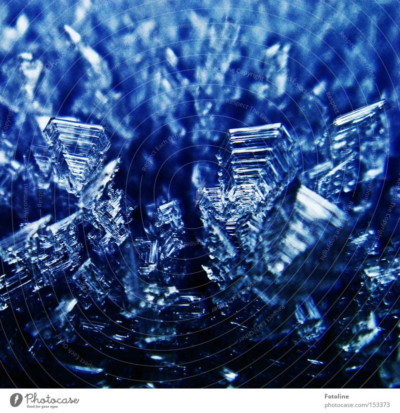 Eiskristallversammlung auf der Tonne Frost kalt Eisblumen Fensterscheibe Autofenster Morgen blau schwarz Winter frieren Glas schön
