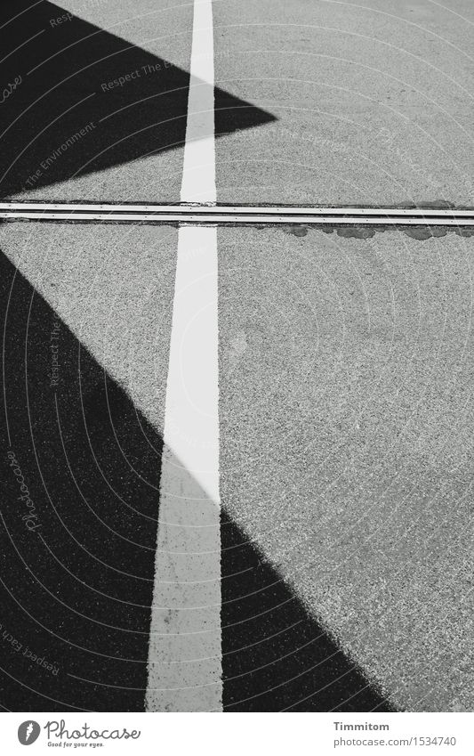 s/w | Motivsache. Verkehrswege Linie ästhetisch eckig grau schwarz weiß Asphalt Fuge Dreieck Perspektive Schwarzweißfoto Außenaufnahme Menschenleer Tag Schatten