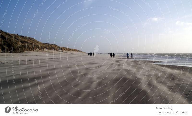 den wind im nacken Strand Meer Wellen Landschaft Erde Sand Himmel Wind Sturm Küste Nordsee entdecken wandern Dänemark blavand ulaub Farbfoto Außenaufnahme