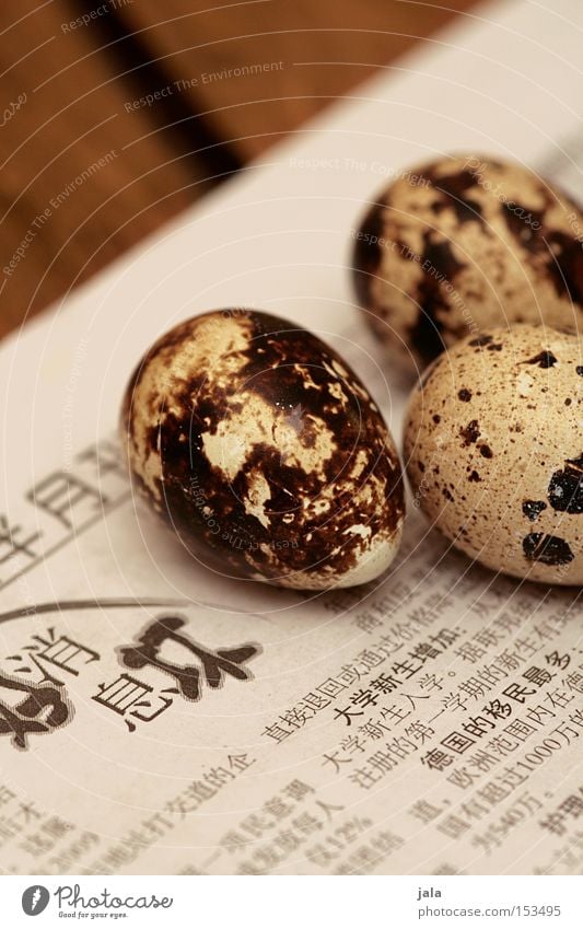 4 minuten: hart Ei Wachtelei klein winzig Zeitung China Tisch Holz Ernährung Feinschmecker Delikatesse Gastronomie Vogel Lebensmittel Vorspeise