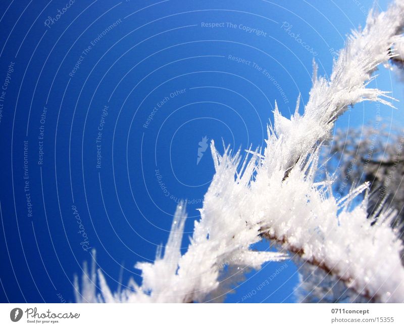 Eiskristalle 03 Winter kalt gefroren Horizont Ferien & Urlaub & Reisen Winterurlaub Winterstimmung Eiszeit Jahreszeiten Eindruck Grad Celsius leer unten