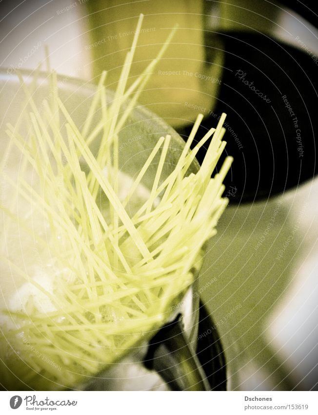 Canneloni Spaghetti Nudeln Ernährung kochen & garen Mahlzeit Topf Küche