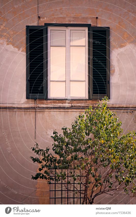 Italienischer Blick. Kunst ästhetisch Fenster Fensterscheibe Fensterladen Fensterblick Fensterkreuz Fensterrahmen Fensterfront Toskana Baum Baumkrone Farbfoto