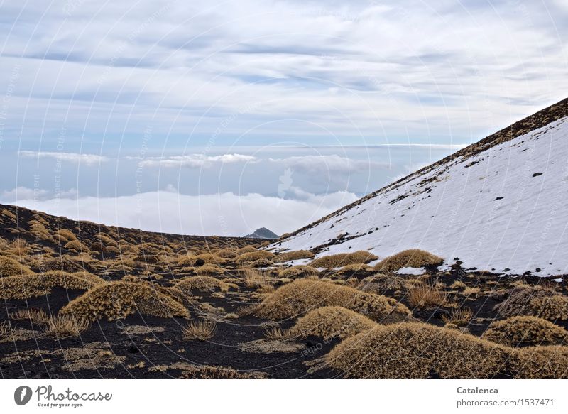 Über den Wolken, Landschaft am Ätna wandern Bergwandern Pflanze Urelemente Luft Himmel Winter Wetter Schnee Dürre Dornenbusch Vulkan Etna Sizilien Italien atmen