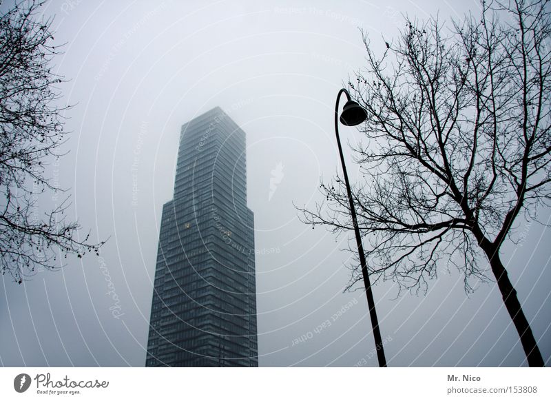 statt landschaft Hochhaus Gebäude Nebel Fenster Straßenbeleuchtung Stadt grau Einsamkeit Betonklotz Bürogebäude Baum modern Deutschland Architektur