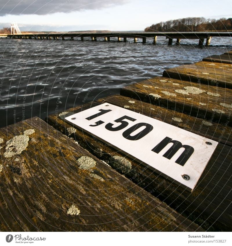 Ein Meter Fünfzig tauchen Wasser Holz Steg See dreckig Vogeldreck tief kalt nass feucht Fisch Wellen Schwimmen & Baden