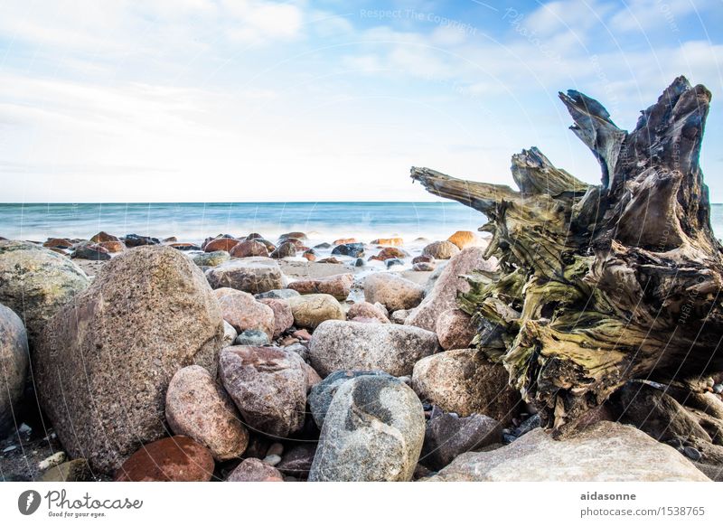 ostsee Natur Landschaft Wasser Schönes Wetter Ostsee Zufriedenheit Lebensfreude achtsam geduldig ruhig Farbfoto Außenaufnahme Menschenleer Tag