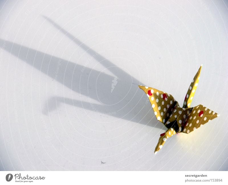 kranich mit wievielen weissen punkten? Freizeit & Hobby Handwerk Kunst Tier Vogel Papier fliegen hell Kitsch weiß Kranich Asien Japan gefaltet dramatisch