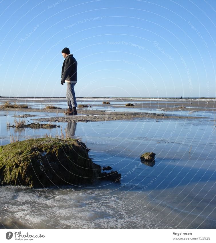 Winterstarre: Mann steht regungslos im vereisten Watt der Nordsee Strand Erwachsene Wasser Eis Frost Küste kalt Wattenmeer Ebbe Wattwandern Blauer Himmel
