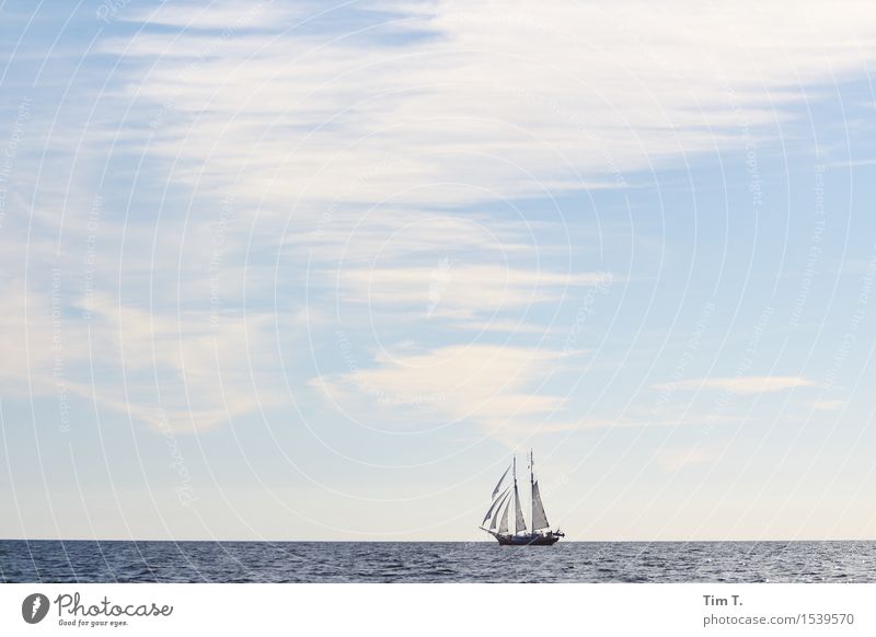 segeln Ostsee Schifffahrt Bootsfahrt Jacht Segelboot Segelschiff Abenteuer Freiheit Wolken Himmel Segeln Mast Horizont Farbfoto Außenaufnahme Menschenleer Tag