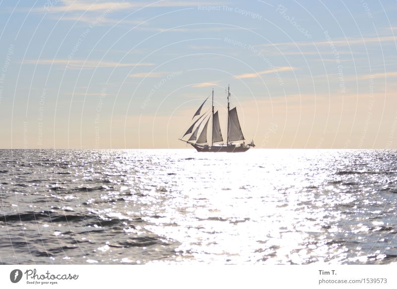 Segeln Ostsee Schifffahrt Bootsfahrt Jacht Segelboot Segelschiff Abenteuer Sonne Horizont Freiheit Wolken Farbfoto Außenaufnahme Menschenleer Textfreiraum links