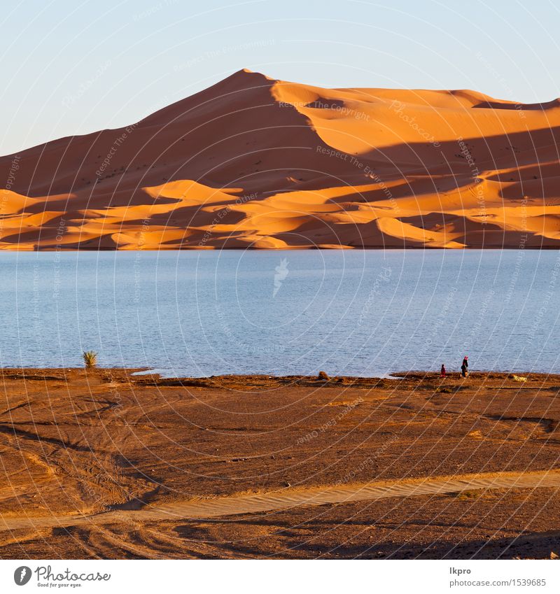 Marokko Sand und See Ferien & Urlaub & Reisen Abenteuer Safari Sonne Natur Landschaft Wärme Dürre heiß gelb rot Einsamkeit Afrika Afrikanisch arabisch trocken