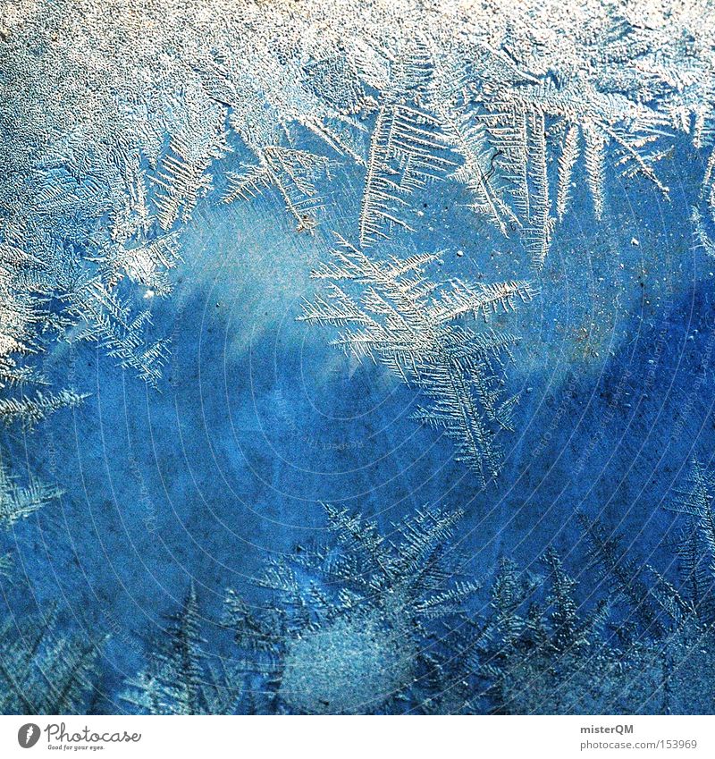 Am Tag, an dem die Zeit still stand. kalt gefroren Eis Packeis Strukturen & Formen Kristallstrukturen Kristalle Winter Minusgrade Detailaufnahme Schnee