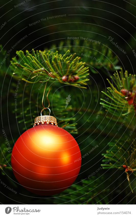 Erinnerung an Weihnachten Weihnachten & Advent Tanne Weihnachtsbaum Kugel orange grün gold rund Tannennadel hängen Dezember verschönern Winter freude Familie