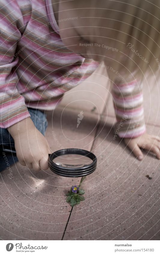 kleiner Entdecker Abenteurer entdecken Lupe Glas Kind Mädchen Neugier Interesse Freude untersuchen Wissen lernen Natur Bildung vergrößert