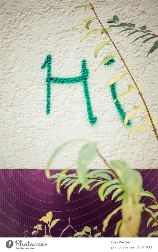 tech Sträucher Blatt Haus Bauwerk Gebäude Mauer Wand Fassade Schriftzeichen Graffiti Linie Stadt grün weiß Hi Gruß Freundlichkeit Putzfassade Schriftstück