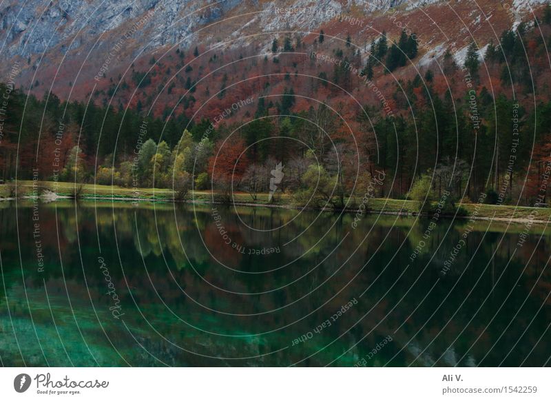 Spiegelungen Natur Landschaft Wasser Herbst Baum Gras Sträucher Wald Felsen Berge u. Gebirge Seeufer braun grau grün rot Stimmung Farbfoto Außenaufnahme