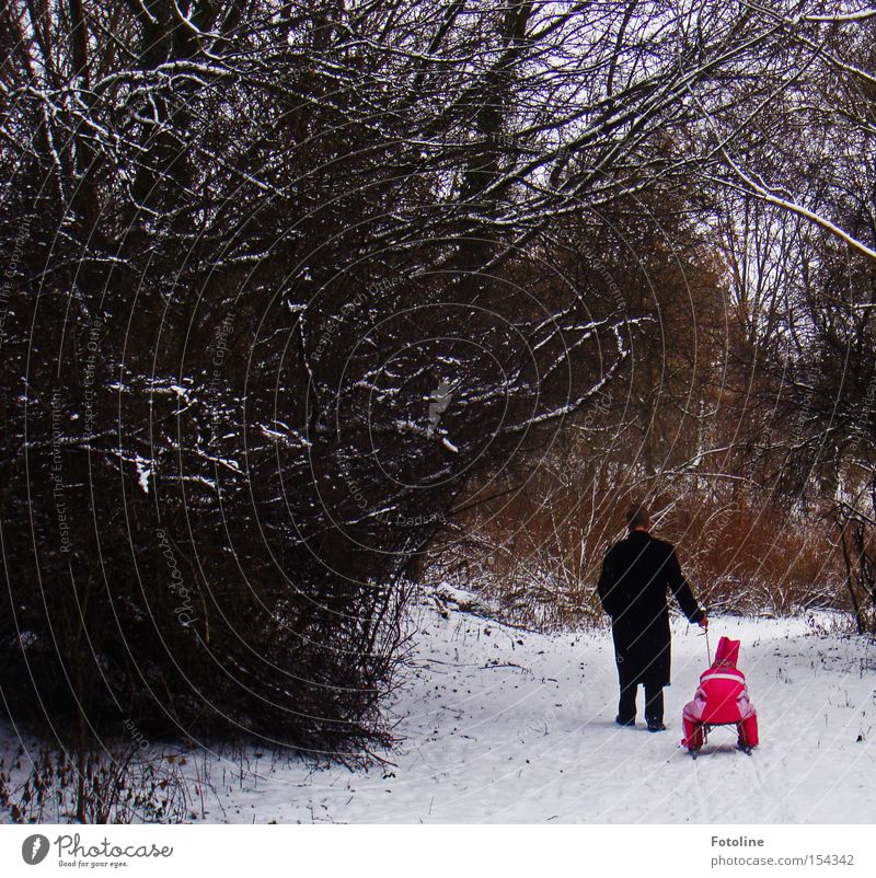 1, 2, 3, im Sauseschritt Wald Winter Vater Kind Schlitten Schnee Ast Mann Mädchen kalt Baum Rodeln ziehen Fußweg Spazierweg Spaziergang rot