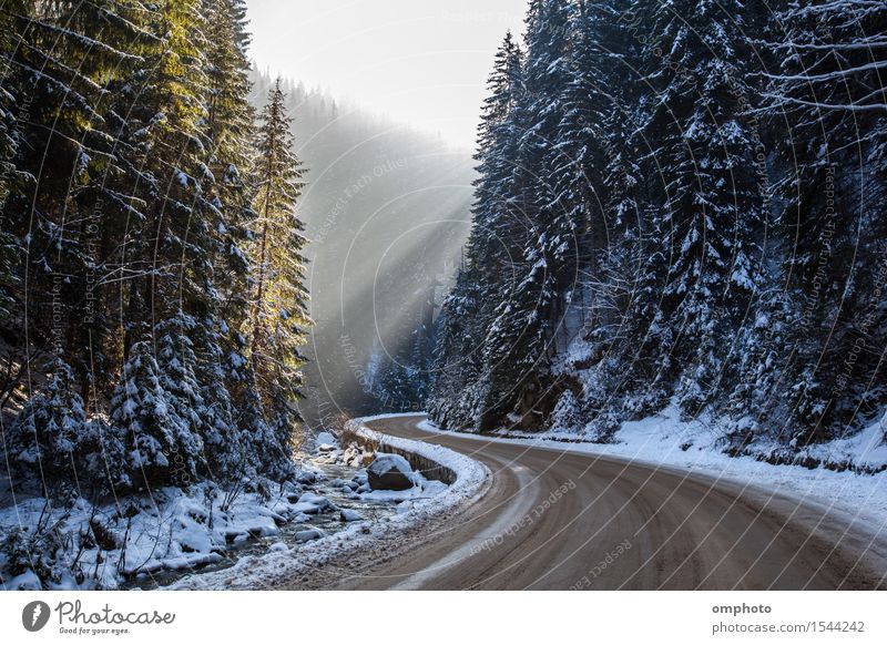 Landschaft einer verschneiten Winterstraße mit Kurven im Berg Ferien & Urlaub & Reisen Schnee Berge u. Gebirge Natur Sonnenlicht Baum Park Wald Bach Fluss