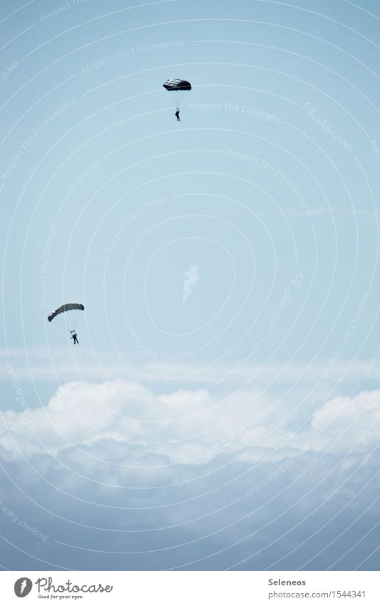 Fallende Schirme Ausflug Abenteuer Ferne 2 Mensch nur Himmel Wolken Luftverkehr fliegen frei fallen Fallschirm Fallschirmspringen Fallschirmspringer Farbfoto