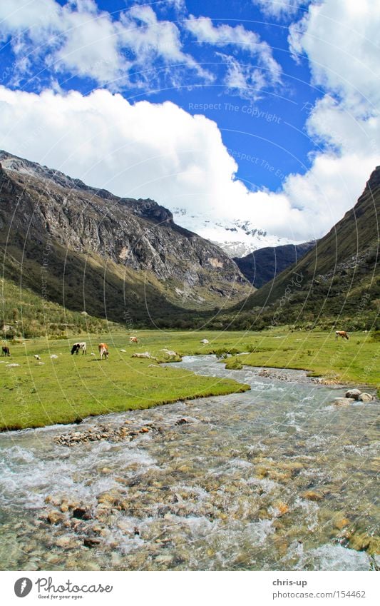 Fluß in den Anden in Peru Nationalpark Landschaft Hochebene Berge u. Gebirge Fluss Wolken traumhaft schön Bach Südamerika Romantik Wiese