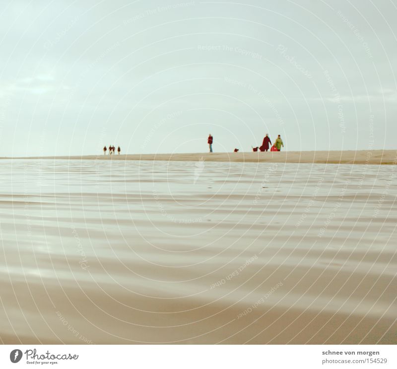 winterfreuden Mensch Wasser See Meer Insel Strand Sand Himmel Horizont Winter Perspektive kalt Ferne Mann Küste Sylt Sandbank Hund blau Wellen