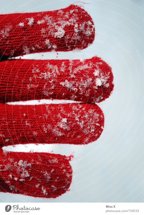 Während andere ins Warme flüchten stellt sich Ces der Kälte Farbfoto Außenaufnahme Detailaufnahme stricken Winter Schnee Hand Finger Schneefall Wärme Handschuhe